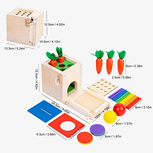 Coin Box Stick Carrot Harvest Game - 36m+ 30 pieces
