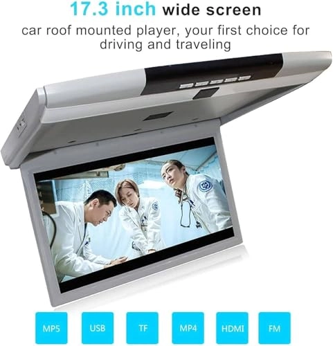 MP5 Ceiling Display - 17.3 Inch