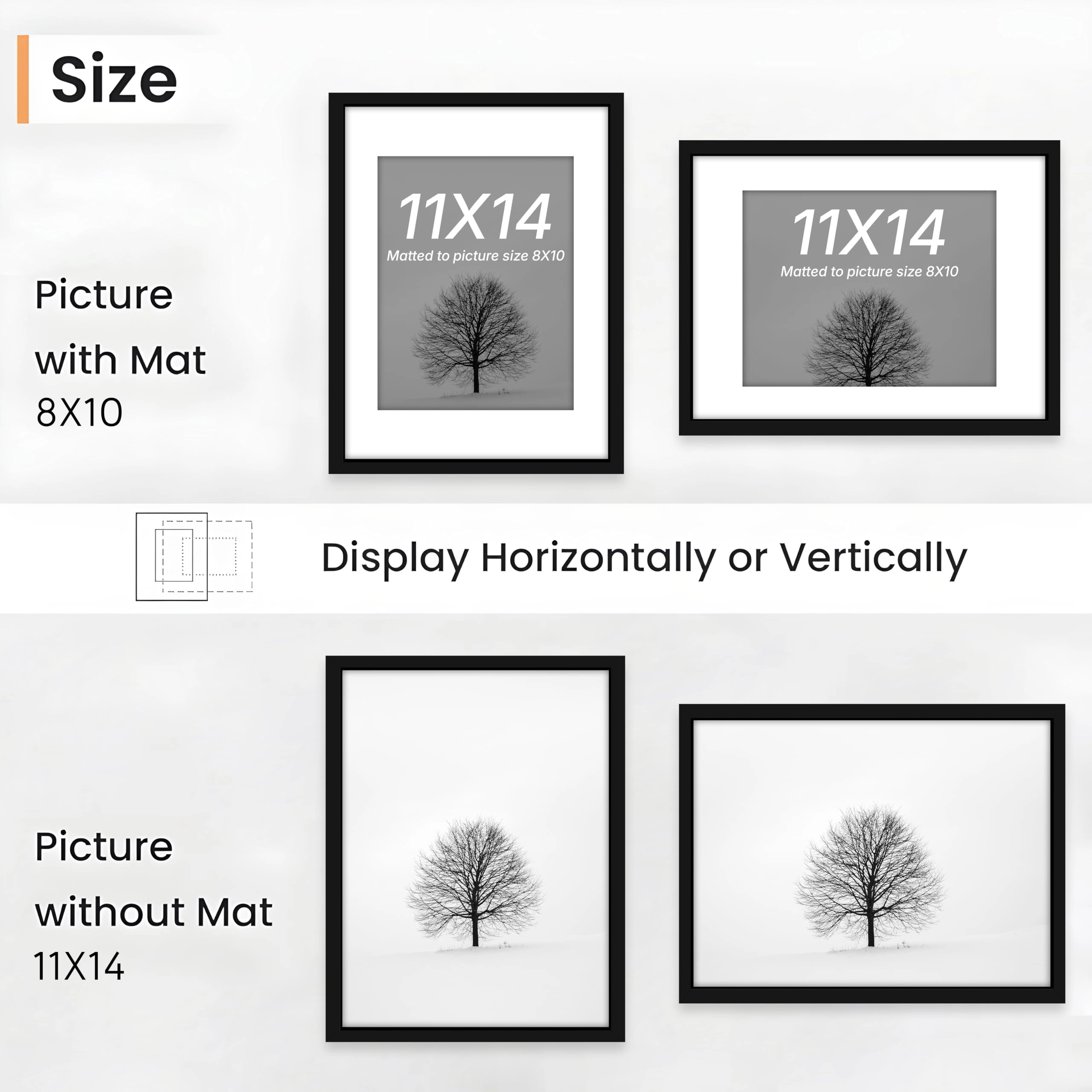 Document Frame - 11x14 Inch