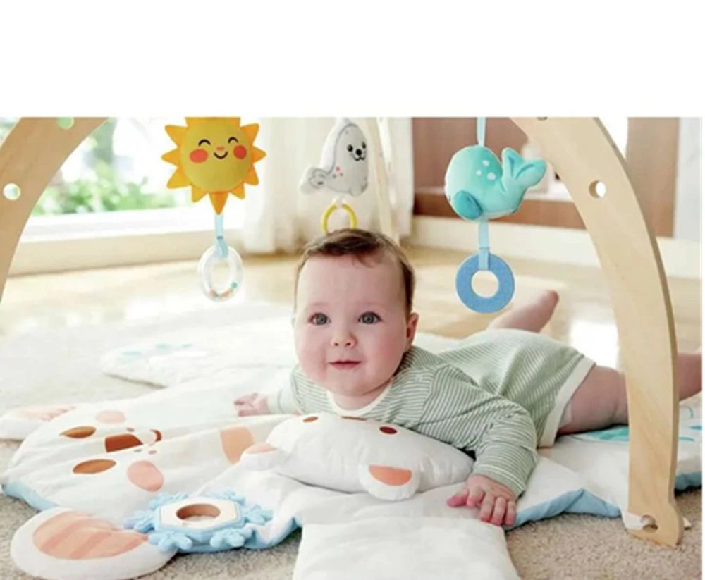 Snuggle Bear Foldable Activity Gym - 0 to 18 months