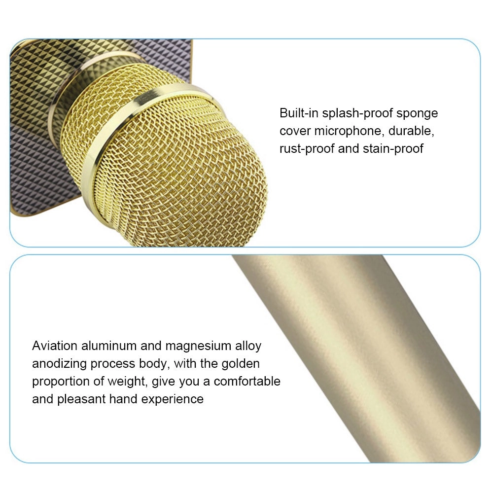 V7784G_P Wireless Microphone 2-In-1 Karaoke