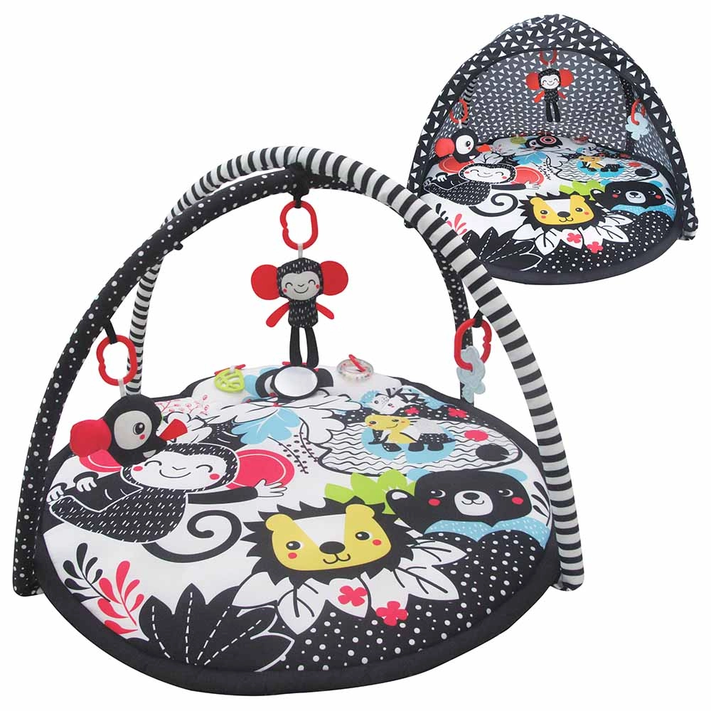 Chirpy Portable Activity Gym Play Mat - 0 months