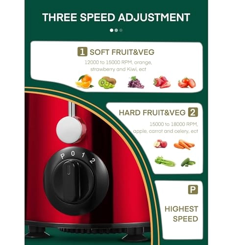 Electric Juicer Machine - 600W 500ml