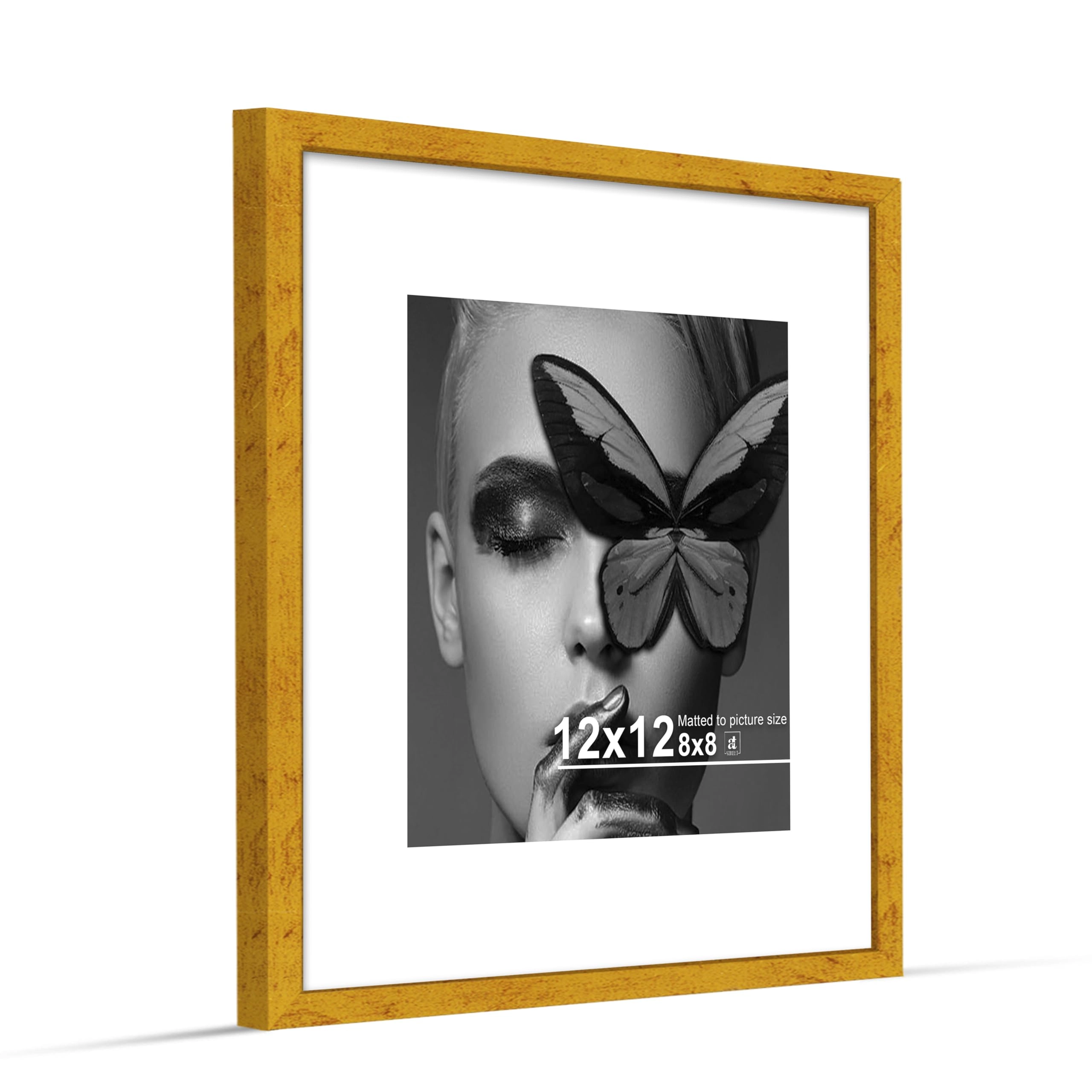 Document Frame - 12x12 Inch