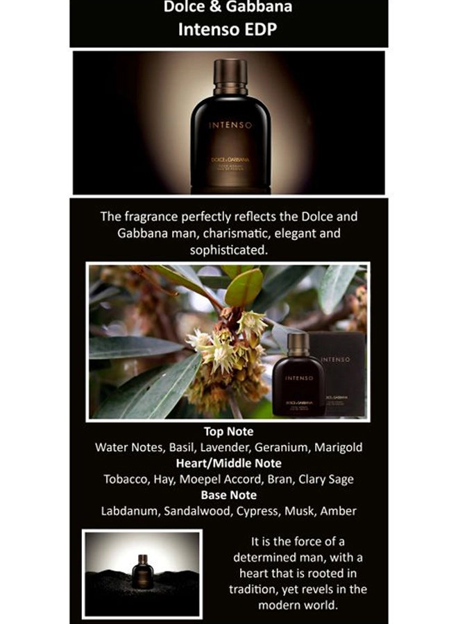 Intenso - 125 ml Pack