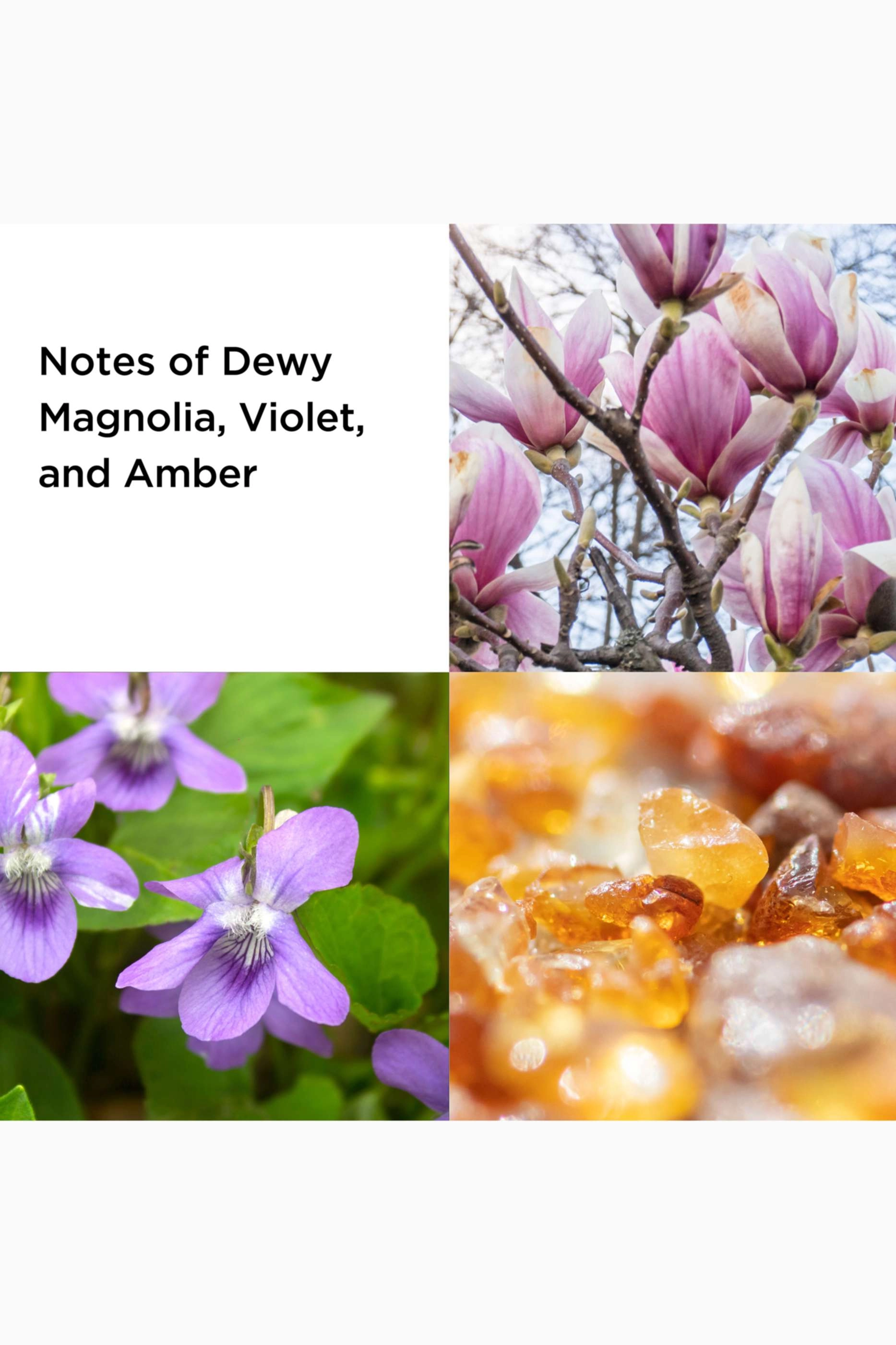 5th Avenue Eau de Parfum + 5th Avenue Moisturizing Body Lotion - Eau de Parfum 2 piece(s)