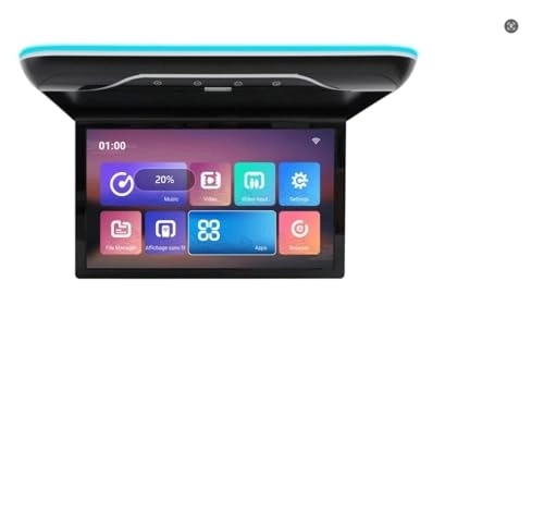 Roofmount LCD Monitor - 19in