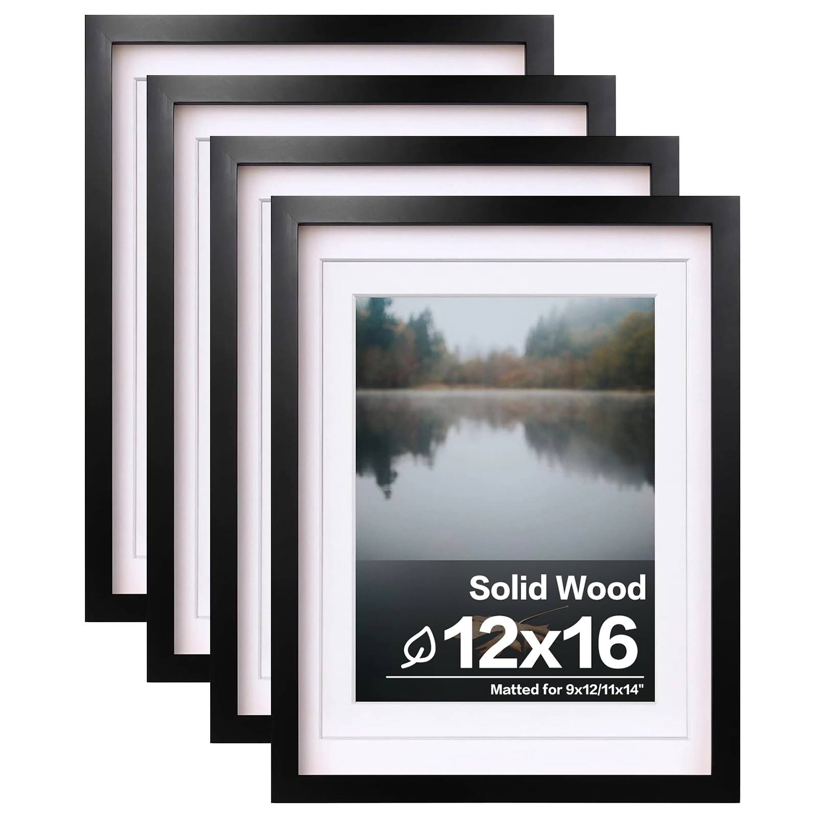 picture frames - 12x16