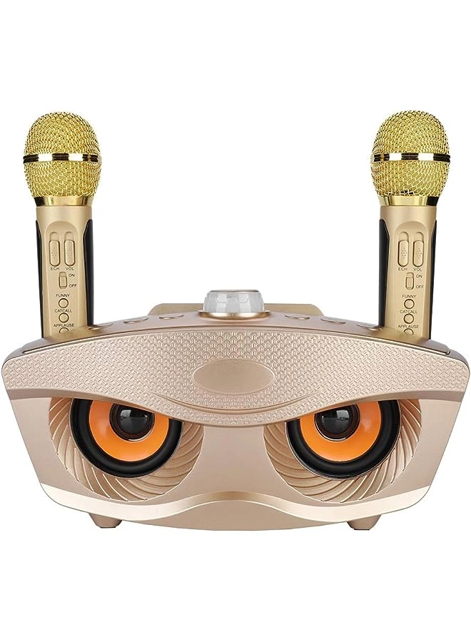 PROMASS Karaoke Machine - 2 Wireless Microphone 10W