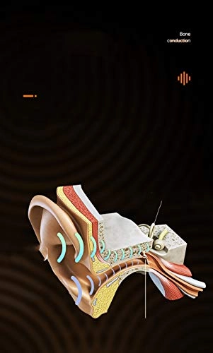 Bone Conduction Wireless Headset