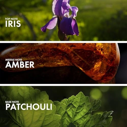 IRIS PATCHOULI - Eau De Parfum 50ml