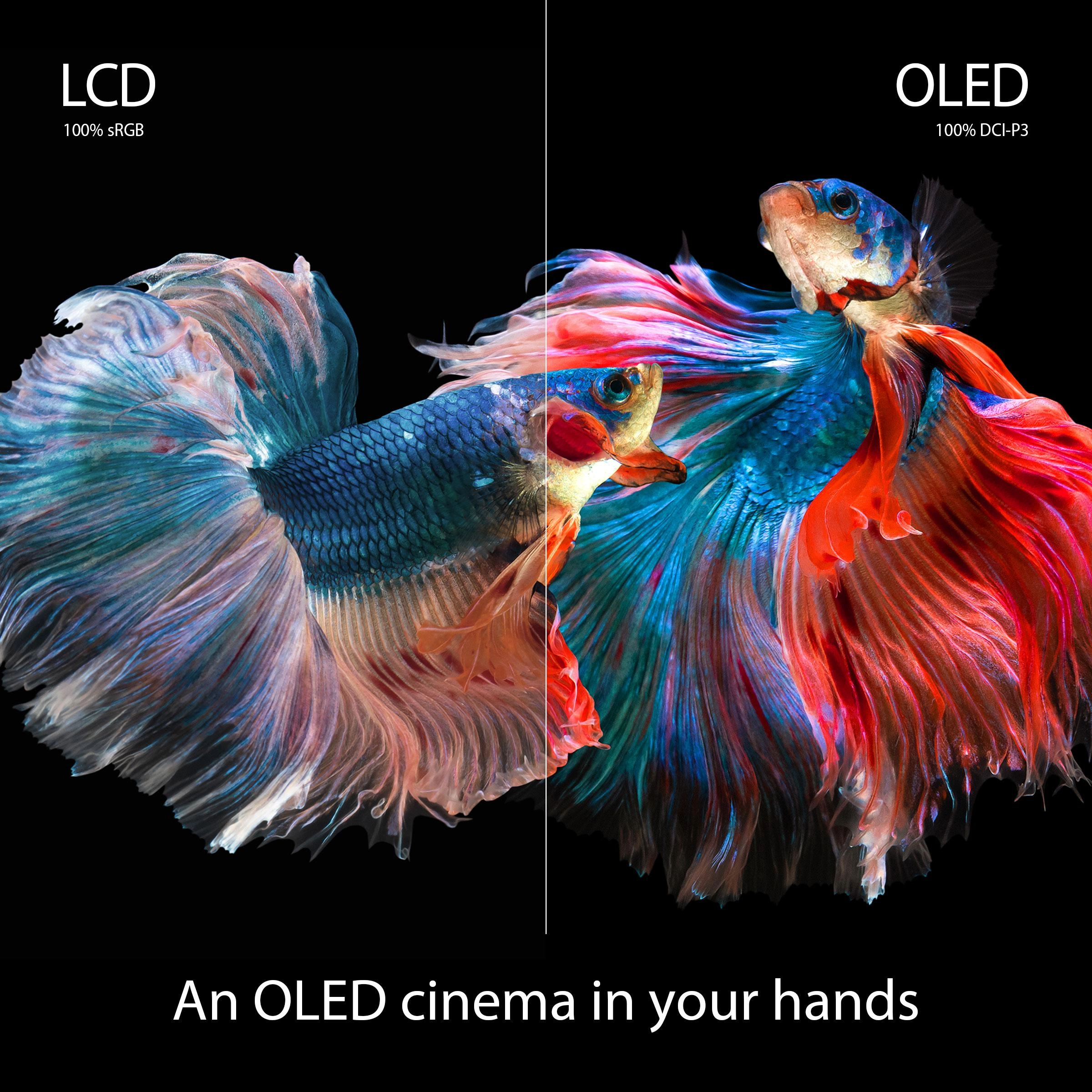 Vivobook 15 OLED K513EQ-OLED107T - 15.6'' Core i7-1165G7 16GB DDR4 1TB SSD