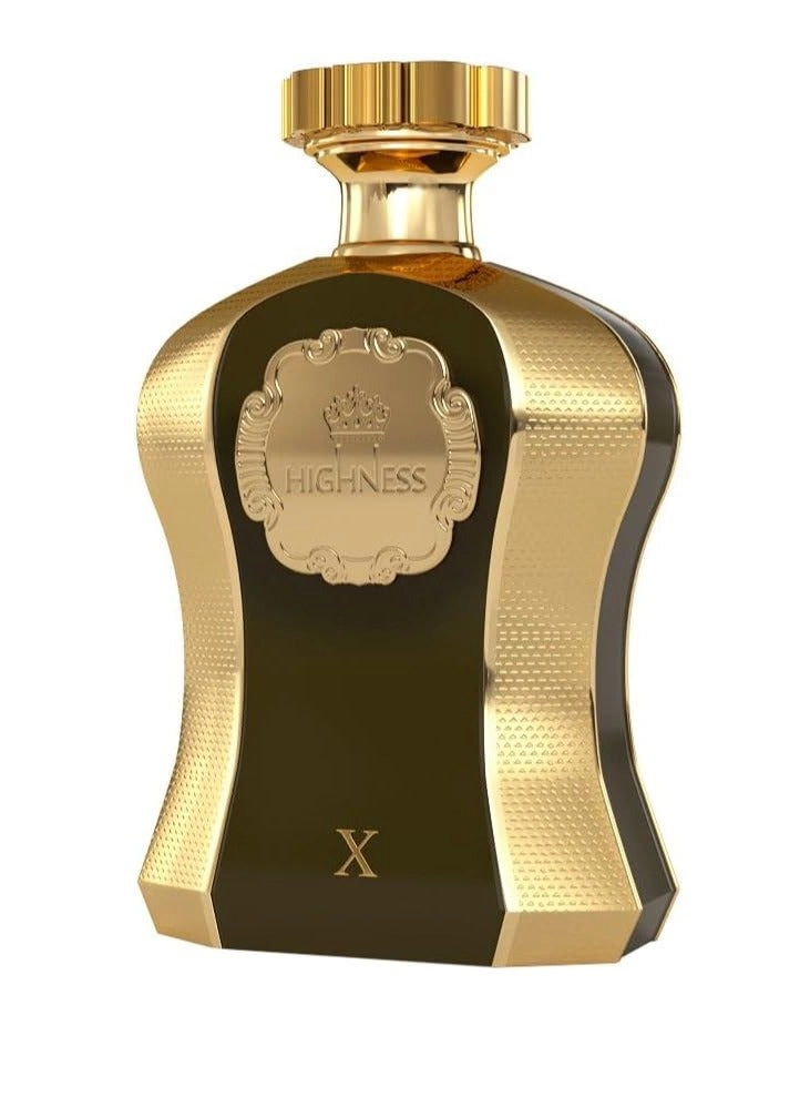Highness Brown Eau de Parfum 100 ml