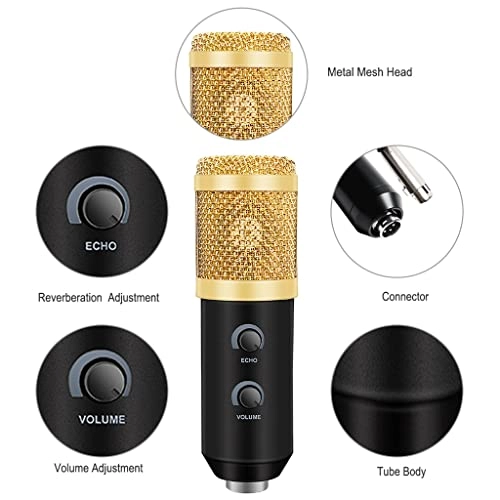 Cardioid Condenser USB Microphone