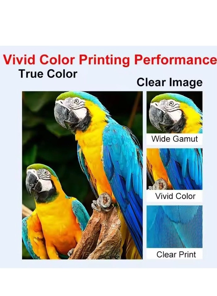 Color Way 507A - Black Cyan Yellow Magenta Pack