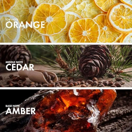 Citrus White Musk Eau de Parfum 50ml