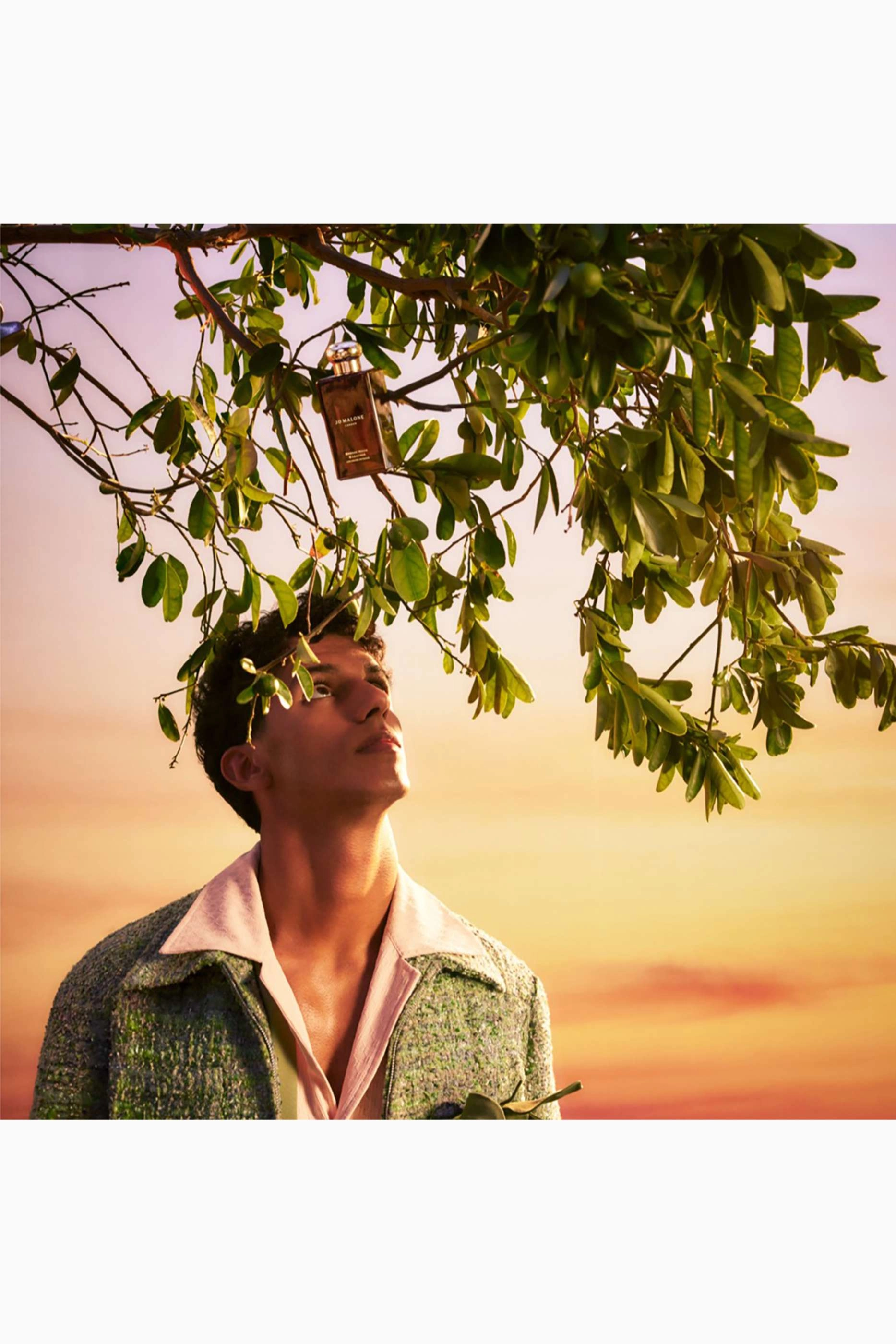 Bronze Wood & Leather Cologne Intense - 100 milliliter