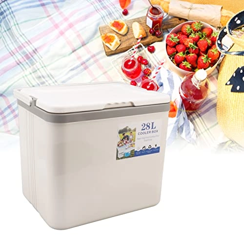 Portable Cooler - 28L