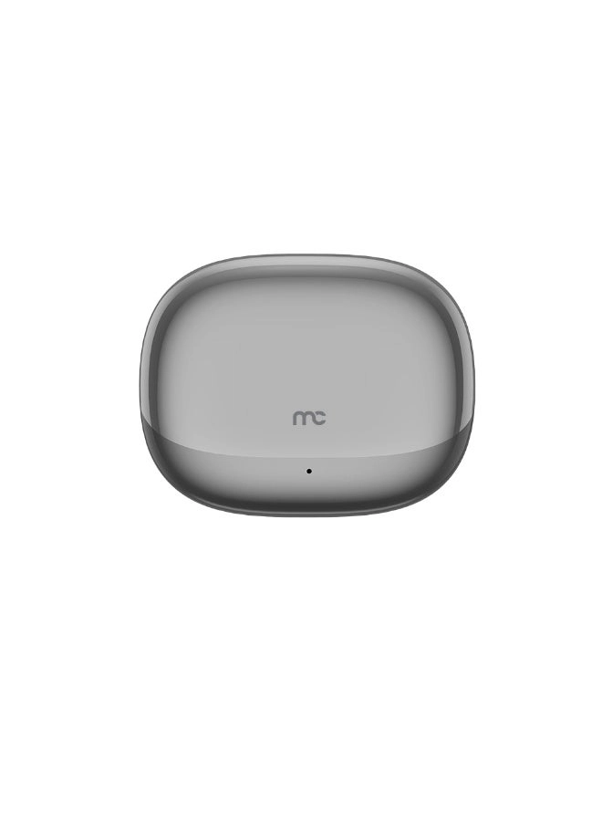TWS-e300 Wireless Earbud