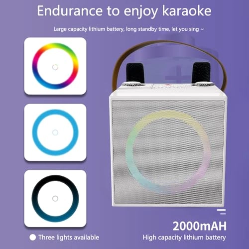 Karaoke Machine - 2 15W