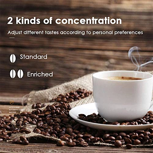 Bean to Cup - Grinder Permanent Filter