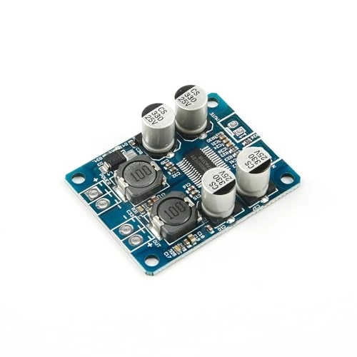 CentIoT TPA3118 - 1.0 Mono 60W