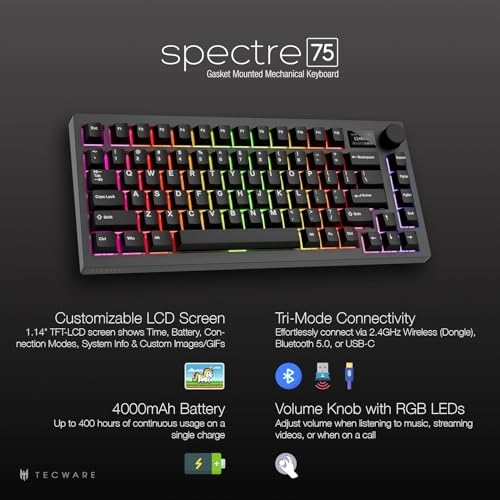 Spectre - BT USB-C 2.4 Hz