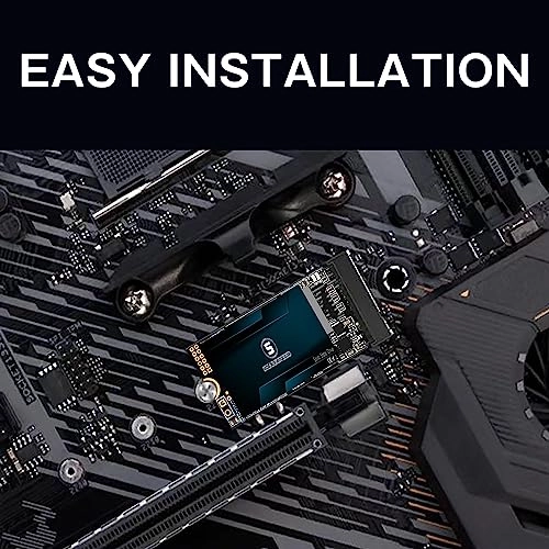 M.2 2242 NVME - 256GB