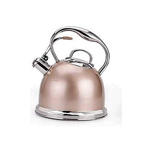 Tea Kettle - Stainless steel