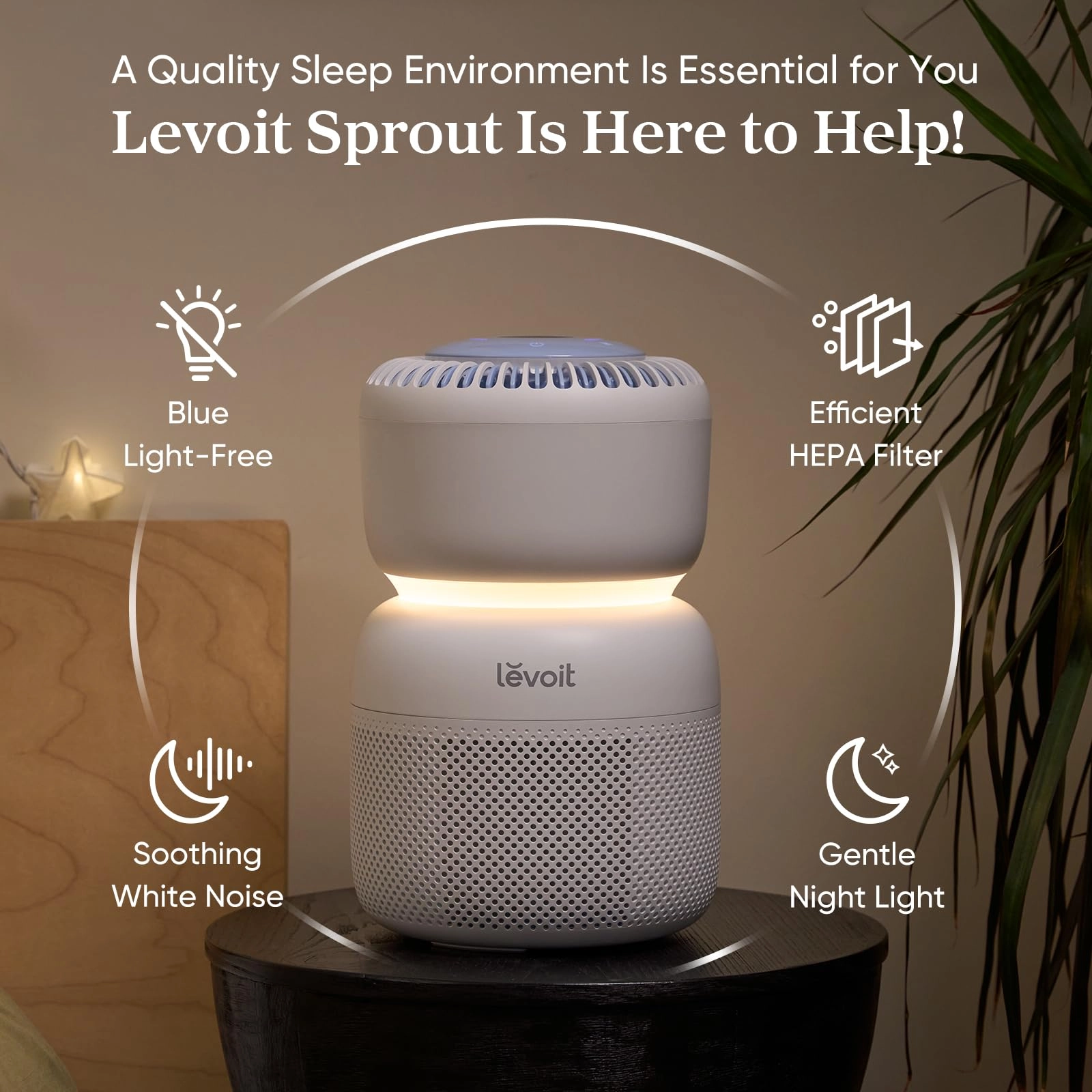 Sprout - White White Noise