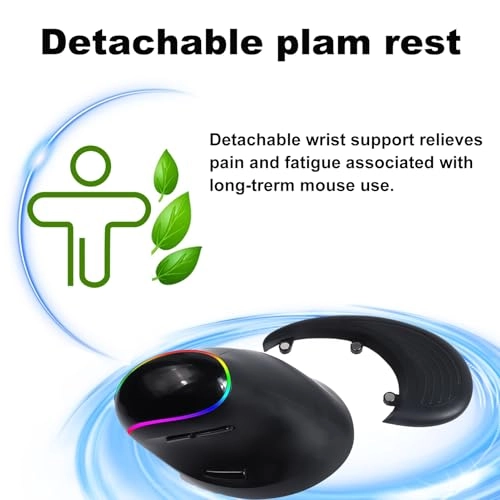 Ergonomic Mouse - Bluetooth (5.0/3.0) USB