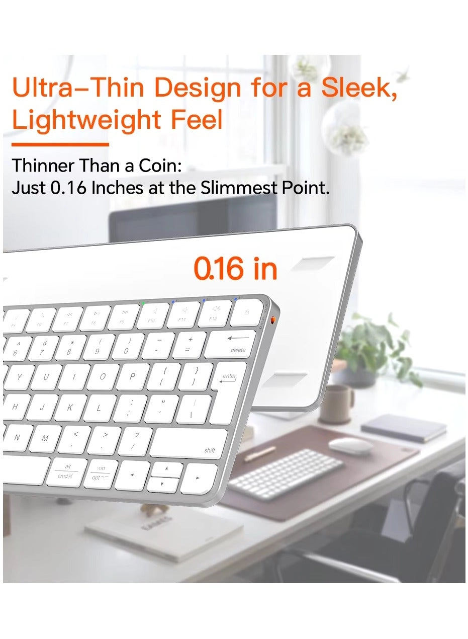 MT-C210 - EN/AR Wireless