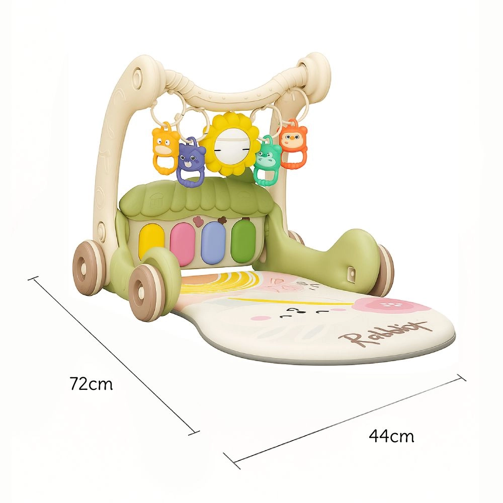 Daisy - 3-In-1 Baby Walker