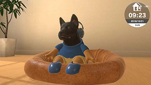 Little Friends: Dogs & Cats | Nintendo Switch