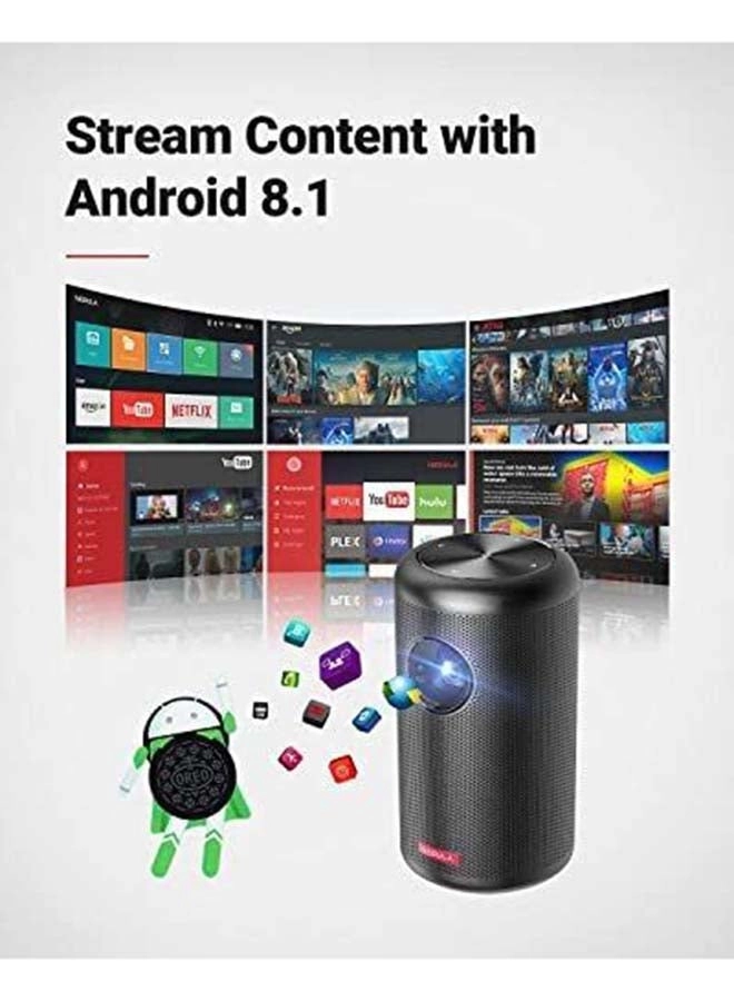 Apollo D2423 200 ANSI Lumen