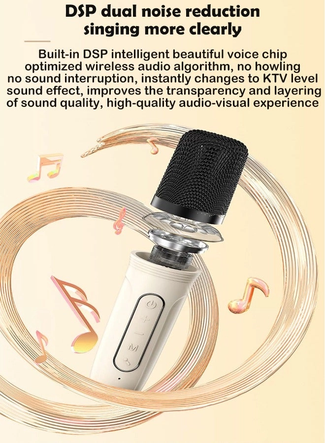 Karaoke Speaker - 2 microphones