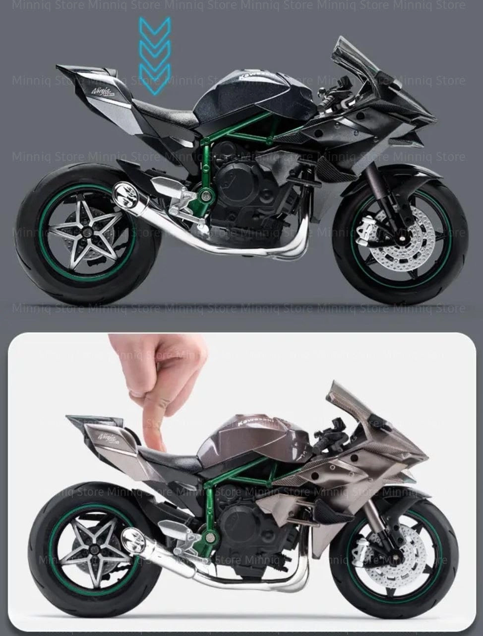 R1250GS - 1:12 1