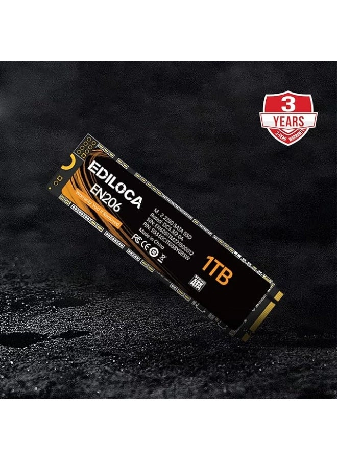 EN206 - 1TB M.2 2280