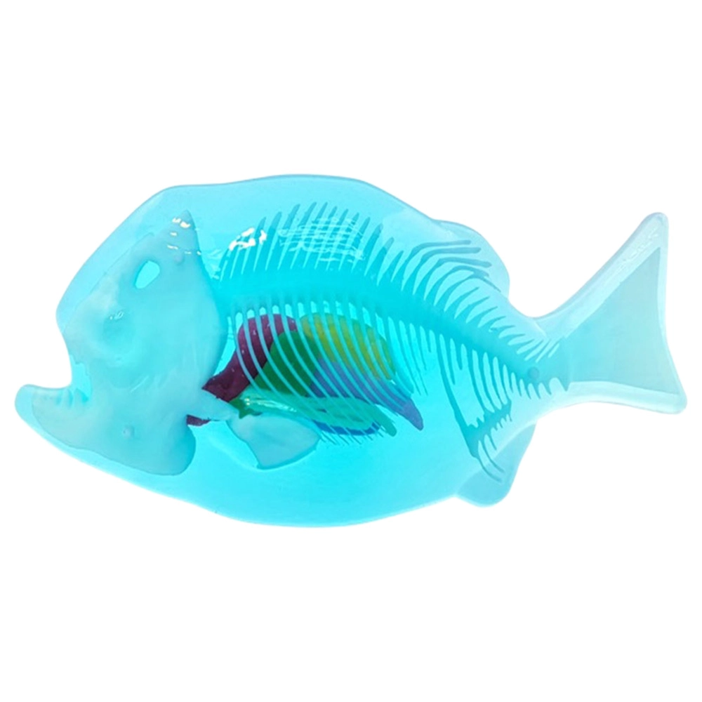 Lab Dissect-It - 6 years+