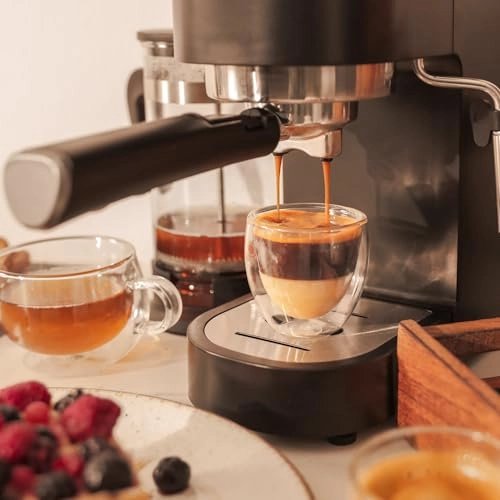 Cafelizzia Fast - Thermoblock Steerable Steamer