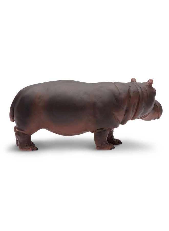 Hippopotamus Figurine - Realistic 5.5"