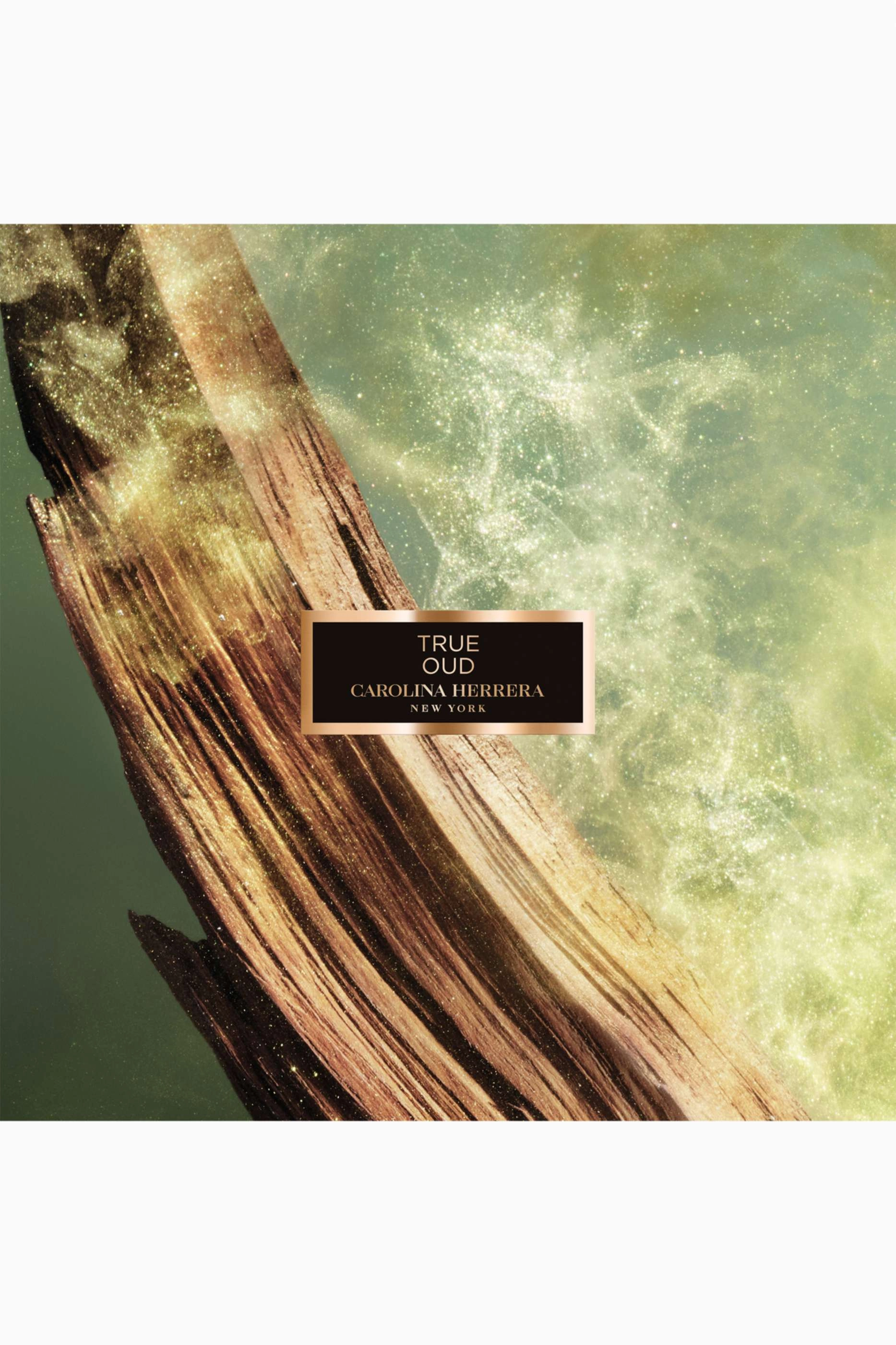 True Oud Eau de Parfum - 100ml