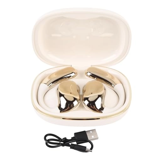 Translator Earbuds - 140 LANGUAGE SUPPORT