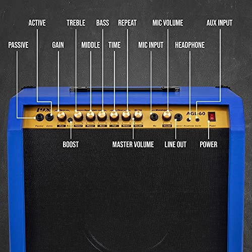 Electric Guitar Amplifier - 60W 10" 4-Ohm Speaker