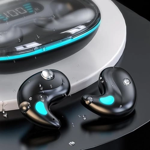 OMWF2SM1661EPG288N Wireless Earbud