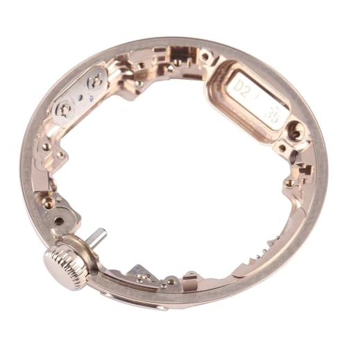 LCD Screen Frame Bezel Plate for Google Pixel Watch