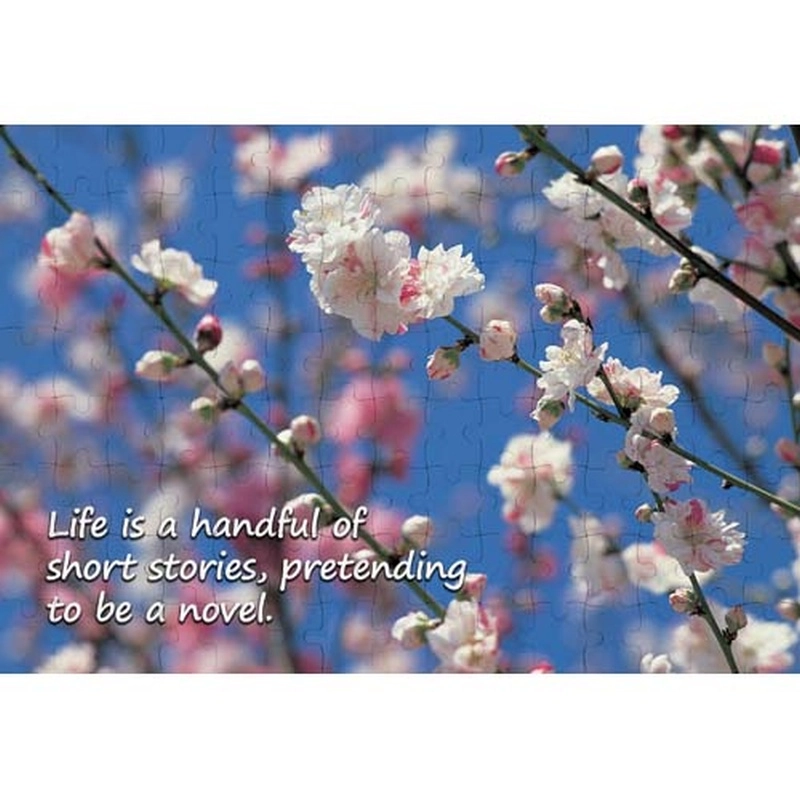 Ajooba Dubai Motivation Puzzle (2244)