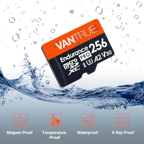 Micro SD UHS-I U3 256GB