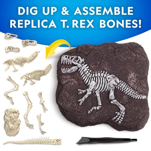 Tyrannosaurus Rex Dig Kit Paleontology - 36 months - 5 years