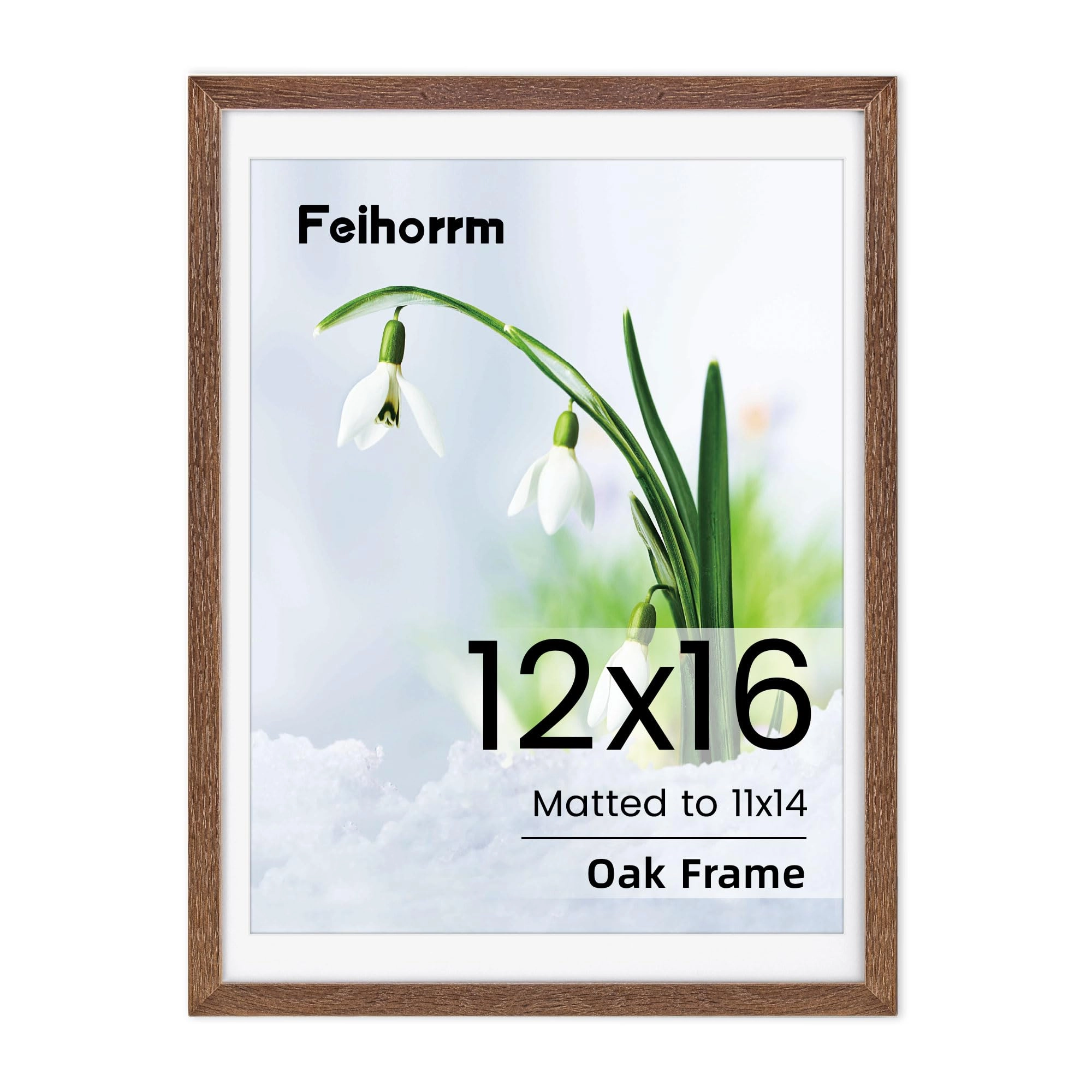 Feihorrm Poster Frame - 30.5 x 40.6 cm 1P
